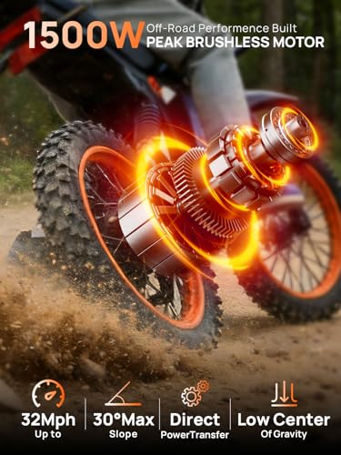 Tietie 1500W Electric Dirt Bike