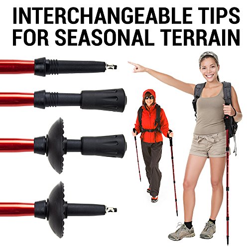 Crown Sporting Goods Shock-Resistant Adjustable Trekking Pole And Hiking Staff (Set Of 2), Purple, 43-Inch #TOP5