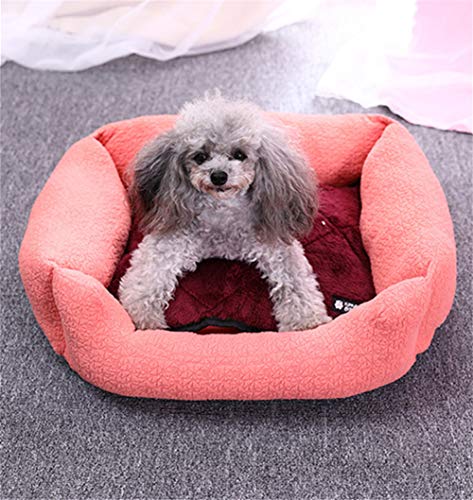 Tapis special pour animaux de compagnie brun argent pour le salon - 8