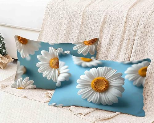 �� �N�b�V�����J�o�[ �� �N�b�V�����J�o�[ 50x70 2���Z�b�g, �h�� ���� ���z�c�J�o�[ �􂦂� ���ʈ�� �B���t�@�X�i�[ �������J�o�[ �l�G�ʗp �K�p�Ώ� �ƒ둕�� �ԗp �C���e���A -lsy25012LV