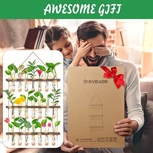 Eveage Propagation Station, Wall Hanging Planter Terrarium Retro 3 Tiered Propagation Test Tube For Hydroponic Plants Cutting Home Office Garden Decor With 22 Glass Tubes (Fairy Light Style) #TOP6