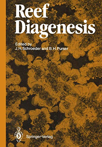 Reef Diagenesis view 2
