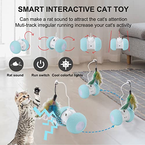 Brinquedos Interativos para Gatos, Roda de Exercícios para Gatos Controle Automático de Longo Tempo
