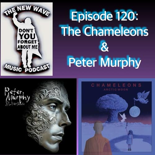 The Chameleons & Peter Murphy
