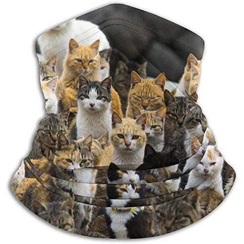 GWrix-Cache-Cou-dhiverBandeaux-De-Plein-AirBandeau-De-JoggingBandeau-FoulardFancy-Cats-Family-Life-Men-Women-BalaclavaTube-Neck-GaiterWindproof-Face-Mask
