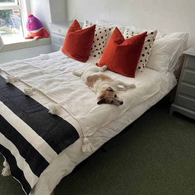 Amazon｜モロッコウールポンポンブランケットスロー 100%ピュア