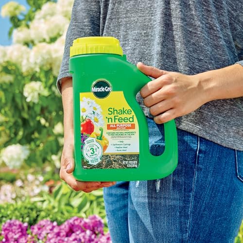 Image of Miracle-Gro Shake 'N Feed Rose & Bloom Plant Food, 4.5 lb. (6-Pack)