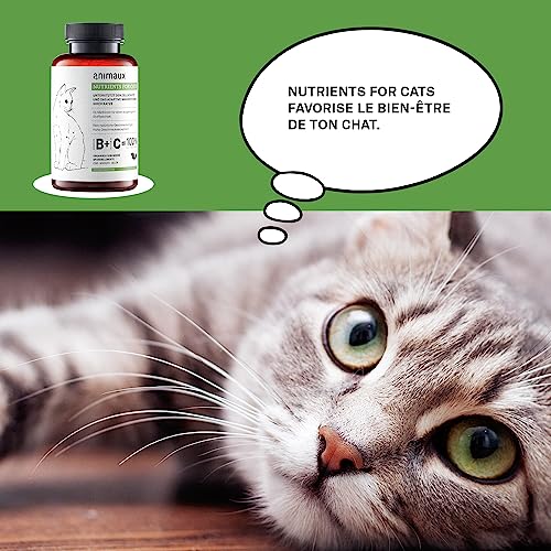 Vitamines pour chats - 120 comprimés à mâcher - Métabolisme, système immunitaire, peau & pelage - Complément alimentaire avec complexe de vitamines B, oméga 3, zinc & plus - animaux Nutrients for Cats – Image 6