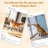 PICK FOR LIFE Hundesocken Anti-Rutsch 2 Paar Doppelseitige mit Verstellbaren Riemen für Innenbereich (Grau, L)