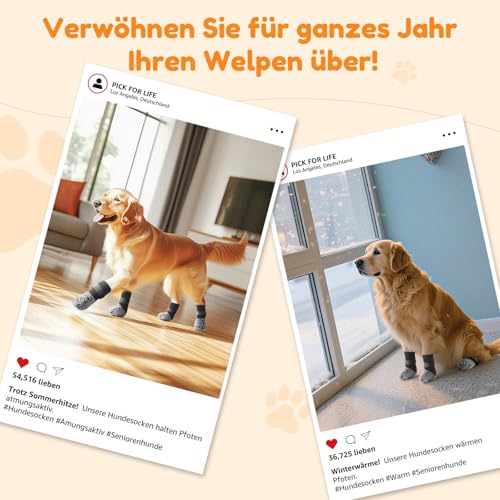 PICK FOR LIFE Hundesocken Anti-Rutsch 2 Paar Doppelseitige mit Verstellbaren Riemen für Innenbereich (Grau, L)