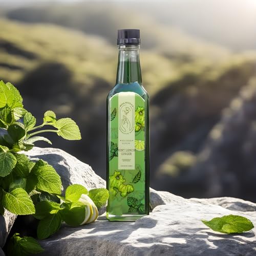 Image of Rosa Mystica Mint Squash| Natural Refreshing Mint Lemon Ginger Squash, No Added Color - 1 ltr