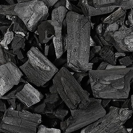 BOB Natural Wood Charcoal Chunks for Orchid/Succulent/Adenium Soil (1-2 Inch) 1 Kg (B08PT6XBTD) Amazon Price History, Amazon Price Tracker