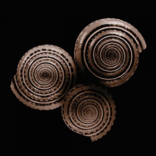 Impresión artística sobre papel mate, 220 g, relojes de sol Faragher Michael, imagen cuadrada de baño, negro, burdeos, marrón, beige, conchas, fotografía, spa, impresión artística, 56 x 55 cm
