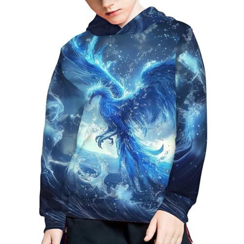WELLFLYHOM Boys Hooded Sweatshirts Hoodie Pullover Cool Graphic Crewneck Blouses Size 6-16