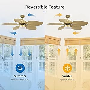YITAHOME Tropical Ceiling Fans with Light and Remote, 52 Inch Fan Light with Memory Function, Lights Colors Changing, Quiet Motor, Timer, Palm Leaf Blades for Outdoor/Indoor - Gold YITAHOME Tropical Ceiling Fans with Light and Remote 52 Inch Fan Light with Memory Function Lights Colors Changing Quiet Motor Timer Palm Leaf Blades for OutdoorIndoor Gold