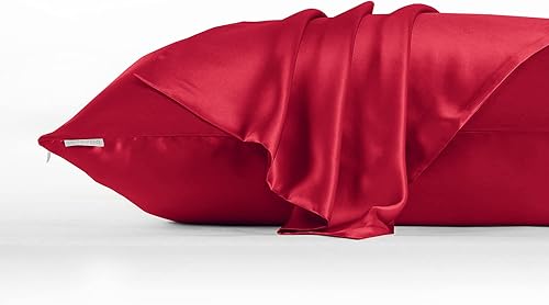 Vista 140 de DISANGNI Funda de almohada de seda de morera 100% natural para cabello y piel con cremallera oculta, 22 momme ambos lados