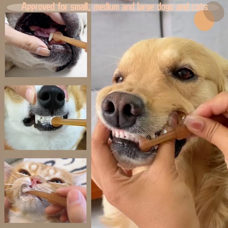 Image of 5 Pack Small Dog Toothbrush Kit, 360 Pet Toothbrush & Cat Silicone Toothbrush with Storage Cup & Soft Bristles Tooth Brush & Mini Head Oral Brush, Dental Care for Kitten Doggie