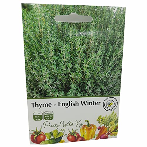 Thyme English Winter Seeds in Pictorial Packet - 500 Seeds