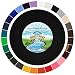 Country Brook Design 1 Inch Black Polypro Webbing, 25 Yards