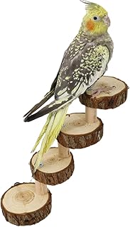 Bird Platform Perch Playground for Budgie Parakeet, Cage Natural Wood Play Stand Parrot Flat Perches for Large Birds, Birdcage Ladder Climbing Toy 4 Step (Pine)