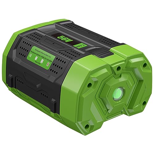 Ego Batteries The 15 best products compared