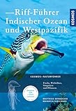 Riff-Führer Indischer Ozean und Westpazifik