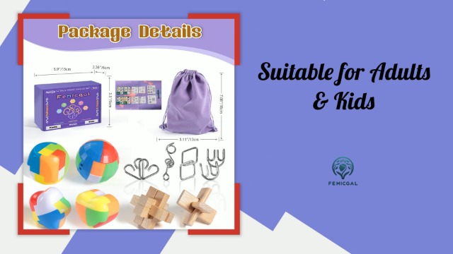 UPTOGLOSS 【導入セット】 Amazon.com: Femicgal Brain Teaser Puzzles for Adults and Kids