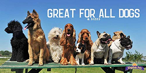 Kingdom Pets Filler Free Chicken Jerky & Sweet Potato Twists, Premium Treats for Dogs, 48-Ounce Bag - Image 6