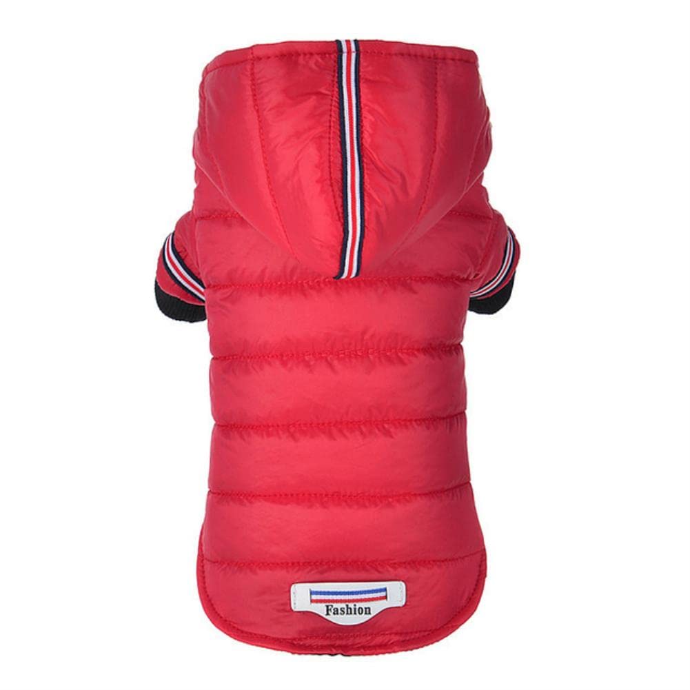 Manteau d'hiver pour chiens de petite taille idéal pour promenades sous la pluie