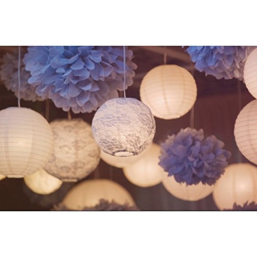 Fascola 18 Pcs White Baby Hanging Paper Lantern Paper Honeycomb Ball Pom Pom Flower Ball Tassel Garland for Wedding Birthday Kids Party Decor Set (White and Baby Blue)