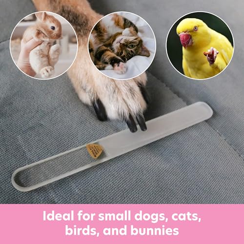 BONA FIDE BEAUTY Krallenschleifer für Hunde, Trimmen & Formen - Sanfter, Schmerzfreier Krallenschleifer - Ideal für Hunde, Katzen, Vögel - Krallenfeile Hund aus Tschechischem Premium Glas