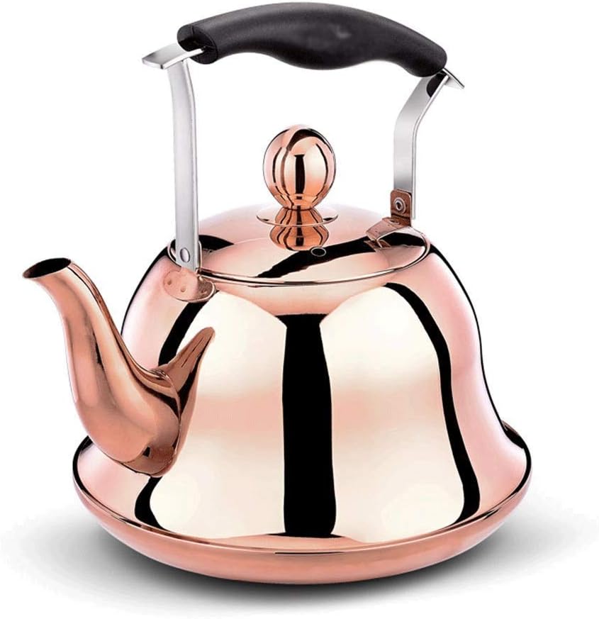 Stainless Steel Whistling Tea Kettle for Stovetop with Heat Resistant Handle