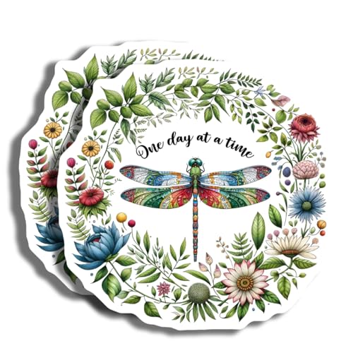 Set de 2 imanes decorativos libélula 5 pulgadas