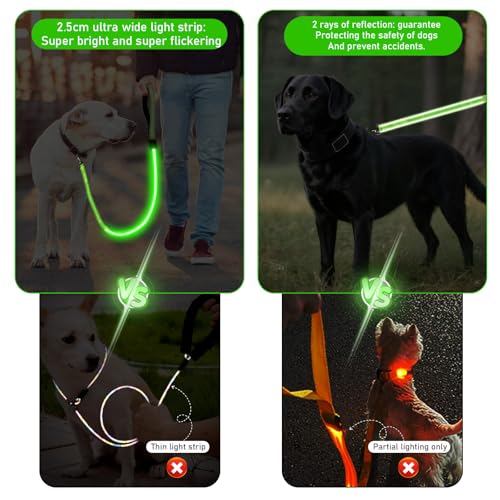 Behogan LED Hundeleine, 1.2M Wasserdicht Nylon LED Hundeleine, USB Wiederaufladbar Lichtfunktion Hundeleine Reflektierend, Clip Lampe für Nächtliche Spaziergänge (Grün)
