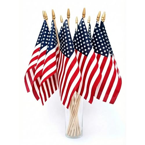 Online Stores Super Tough American Flag | 24