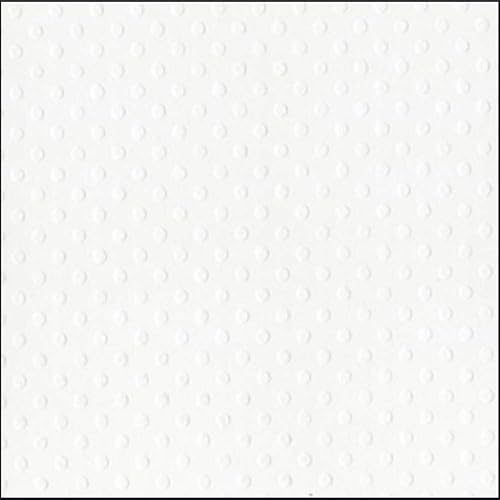 SALT - Cartulina suiza punteada de 12 x 12 pulgadas por Bazzill  Papel de álbum de recortes blanco en relieve de punto suizo de 80 libras  Cartulina disponible en Yaxa Peru