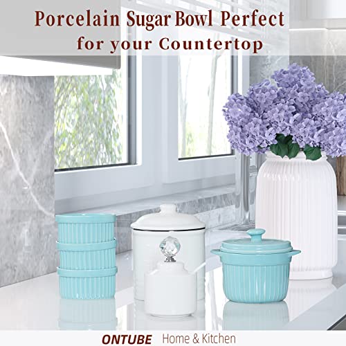 Ontube Ceramics Salt Bowls, 8 Ounce Sugar Bowl With Crystal Lid And Spoon For Home Kitchen, Salt Container, Christmas Gift Ideas (Round Silver) #TOP6