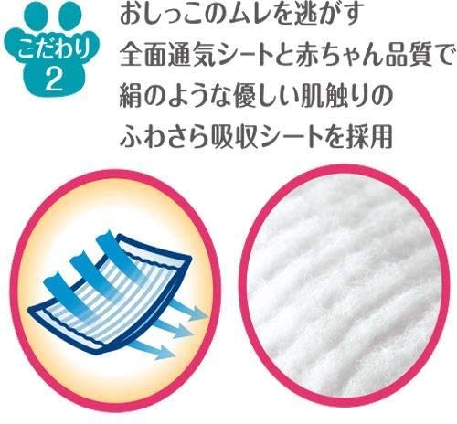 Amazon | 【3個セット】マナーウェア ねこ用 SSサイズ 40枚 ×3個