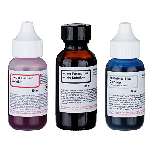 Economy Microscope Slide Staining Kit Includes 3 Stains