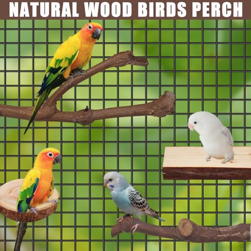 Image of 6 PCS Natural Bird perches for Budgies Parrot perches for Medium Birds Branch Perches Parakeet Bird Platform Stand for Small Parakeets, Budgies, Cockatiels, Conures, Macaws, Finches