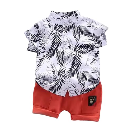 [Cousannory] TVcgbvX n[tV[c ZbgAbv LbY sVc+V[gpc 2_Zbg LbY JWA WjA [EFA Y{ j̎q ㉺Zbg q X|[c ʉ ʊw i s C r[`