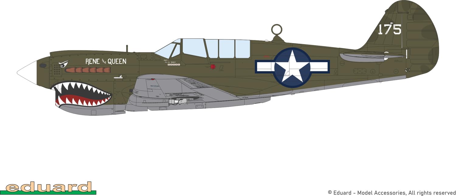 Edualdo 1/48 Profi Pack P-40N Warhawk Kunststoff Modell EDU82242 (Flugzeug)