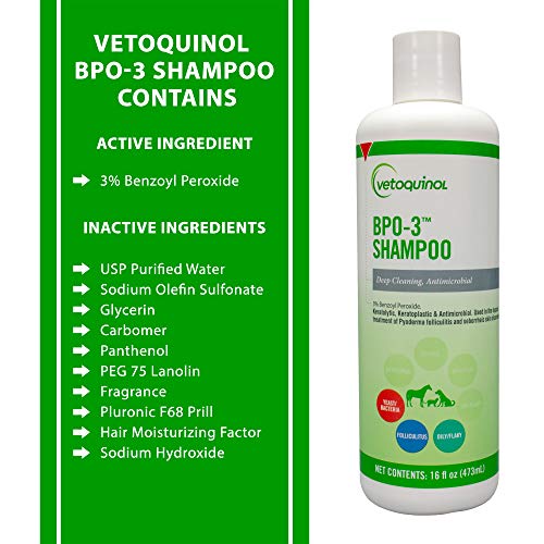 Vetoquinol Bpo3 Shampoo for Dogs Cats  Horses 3 Benzoyl Peroxide  16oz  Deep Cleaning Medicated Shampoo Opens  Flushes Hair Follicles  Degreases Oily Coats  Soothes Red Flaky Itchy Skin  Cucciolini Doodles Vetoquinol bpo 3 shampoo for dogs cats  horses 3 benzoyl peroxide  16oz  deep cleaning medicated shampoo opens  flushes hair follicles  degreases oily coats  soothes red flaky itchy skin   cucciolini doodles