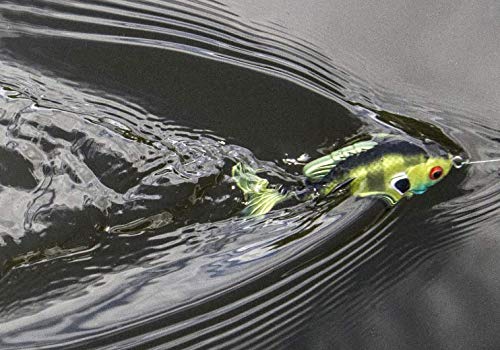 Lunkerhunt Bass Fishing Lures Kit (3-Pack) - 2 Prop Fish Lures And 1 Prop Frog Lure | Best Topwater Fishing Bait, Weedless Hooks, Hollow Body #TOP2