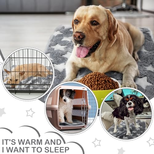 Image of Reginary 4 Pcs Waterproof Guinea Pig Blankets Washable Small Animal Fleece Bedding Absorbent Guinea Pig Cage Liners Reusable Pet Pee Pad Sleep Mat for Hamster Ferret (Gray Star,24 x 16 Inch)