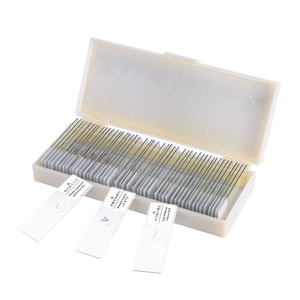 Kit di accessori per microscopio Campione di vetro for microscopio da 50 pezzi preparato Etichetta cinese/inglese Campione di vetrino Laboratorio biologico Vetrini per microscopio