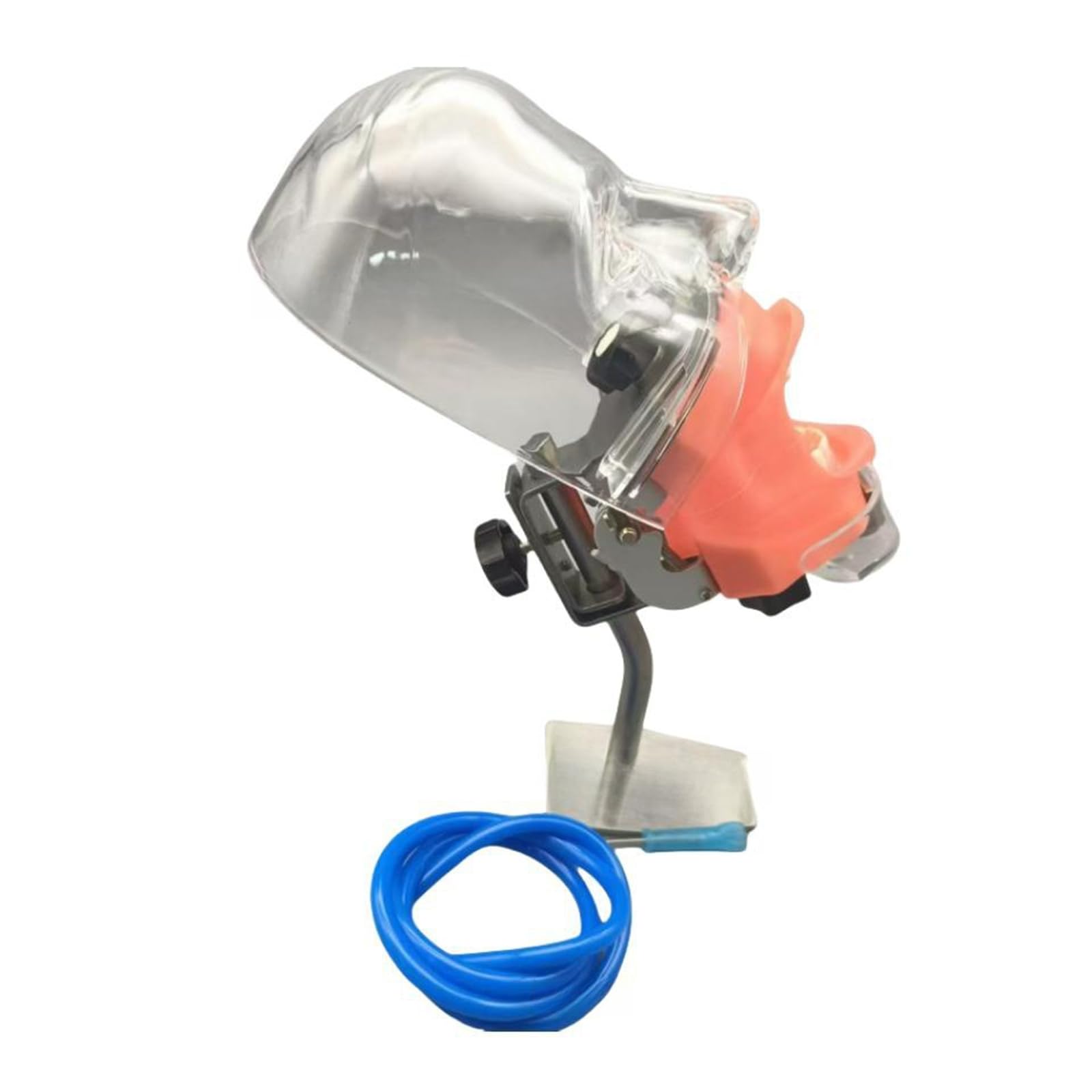 NISSIN DENTAL MODEL 可動式上下顎模型 Operative Area | Operative Jaw Model (32 teeth) [CON2001-UL