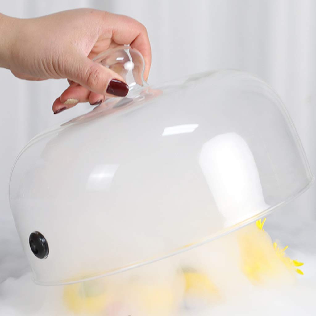 Pantalla de Cristal Cubierta de Alimentos Cubierta de Cúpula de Cloche para Fumar para Fumar Cóctel/postre, Bebidas Ahumadas, Campana de Domo con Infusor de Humo, Bar Accesorios Decoración, 10,2"*7,1"