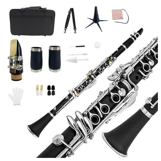 Yinfente Clarinete para clarinete para estudiantes principiantes, clarinete con estuche para clarinete, kit de limpieza de clarinete, boca de clarinete, grasa de corcho para clarinete, clarinete de