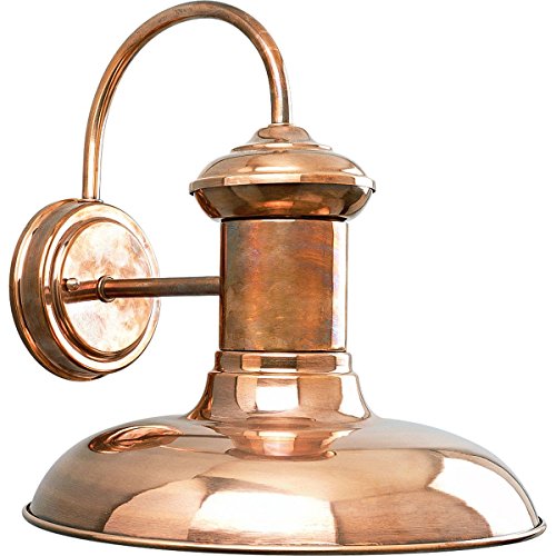 Progress Lighting Brookside Collection 1-Light Outdoor Wall Light, Exterior Wall